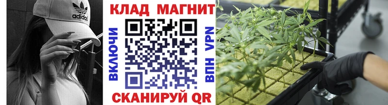 Купить наркотики сайты Сольвычегодск ГАШ  hydra как зайти  Галлюциногенные грибы  МЕФ  Конопля  Кокаин  A PVP 
