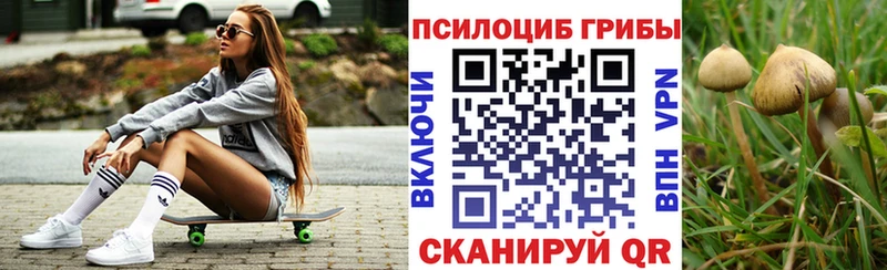 Галлюциногенные грибы мицелий  Сольвычегодск 